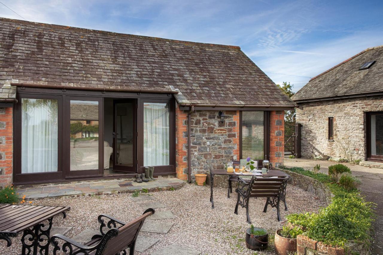 Downe Cottages Hartland Esterno foto